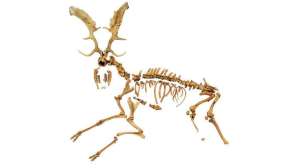 Figure 5 hi res 16x9