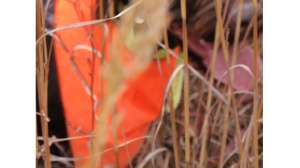 Finding Fido Scott Linden