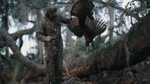 Florida turkey 10 steps