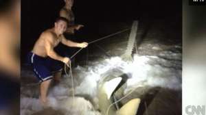 Florida Saw Fish 181010 154923