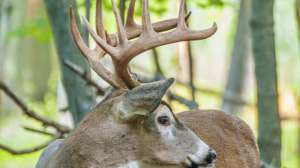 From Kingsbury515451939 181003 161537