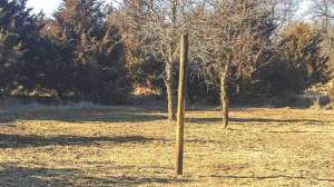 Frost Seeding beauty