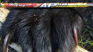 Full Size Render 1 181004 101256