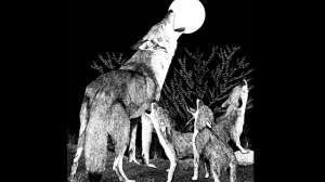 GOV Washington DFW Coyote4 181004 095247