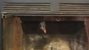 GOV Slidell Fire District1 Duck 7515958 G 181003 161959