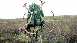 GVMG BR 086 181003 161813