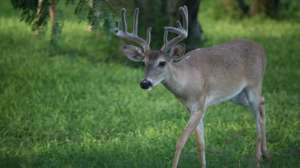 GVMG IMG 2439 181003 155735