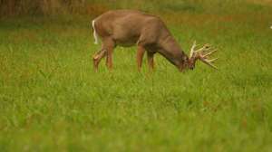 GVMG IMG 2757 181003 161927