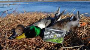 GVMG dyer DSC 2708 4608x3072 300dpi RGB 181003 155440