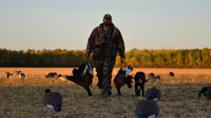 GVMG hdyer DSC 2034 181004 084529