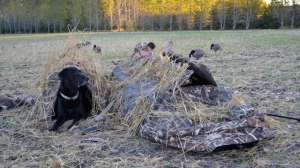 GVMG hdyer DSC 2044 181003 155045