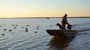 GVMG hdyer DSC 2337 181003 161829