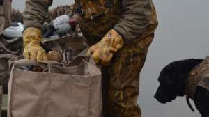 GVMG hdyer DSC 4680 181003 161413