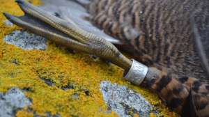 GVMG hdyer DSC 4736 181003 161441