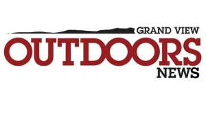 GVO News GFX 181003 155427