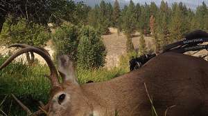 GVO Bowtech2015 Bow 181003 161240