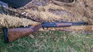 GVO 828ubeauty cal1115