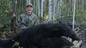 GVO bobrobb bear51 181004 100558