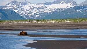 GV Oalaska NPS hunting ban 181003 161933