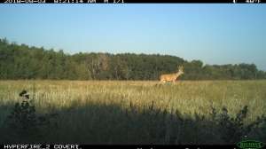 Get A leg Up II cropped