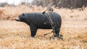 Glen Del black bear target in the field