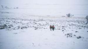 Gordy hiking Montana snow