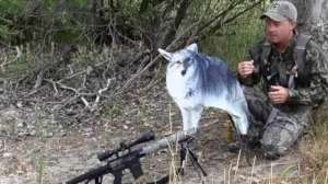 Grand Illusion Kayser 181010 154733