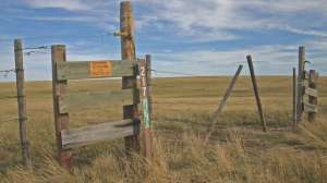 Grasslands Sign 2 copy