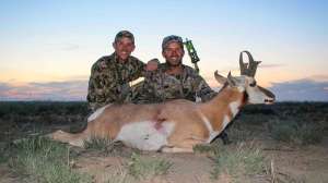 Greentree with pronghorn