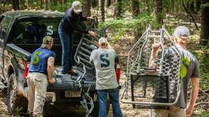 Group effort hanging treestands