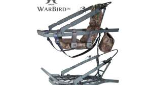 Hawk Warbird 181003 162335