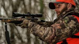 Howard Communications Photo Library Deer Photos 0458