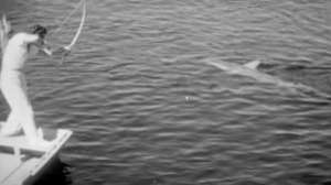 Howard Hill bowfishing sharks