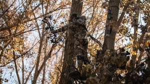 Hoyt Carbon RX4 Alpha beauty