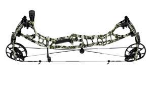 Hoyt VTM lead pic