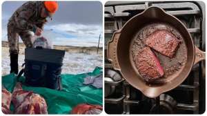 Hunt for Sustainability collage