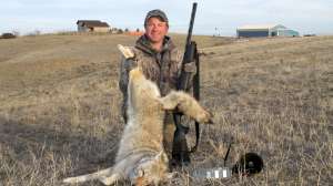 Hunting coyotes near suburban areas copyright Mark Kayser edit