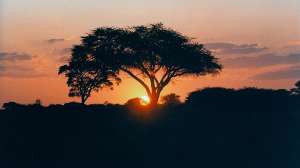 Hwange sunset