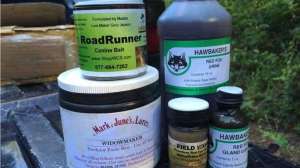 IMG 0130 181010 155100