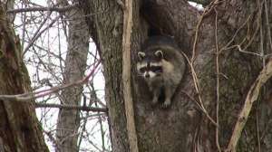 IMG 0171 181003 161315