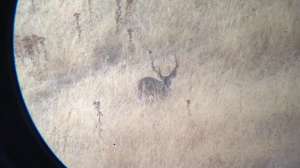 IMG 0273 e1443731684141