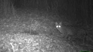 IMG 0306 181003 154656