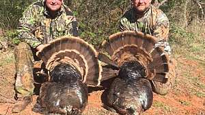 IMG 0926 1 e1460127856983