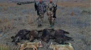 IMG 0941 181004 084630