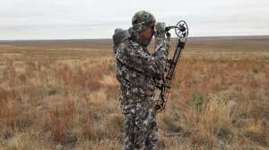 IMG 8441 e1517344215204