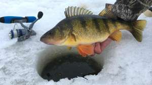 Ice Fishing 101 beauty