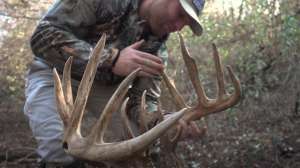 Illinois monster buck