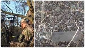 Iowa buck under treestand