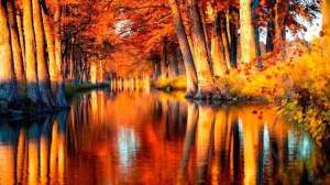 JCR Image 640 181003 162223