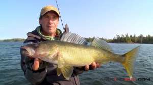 Jim Lindner with fall walleye